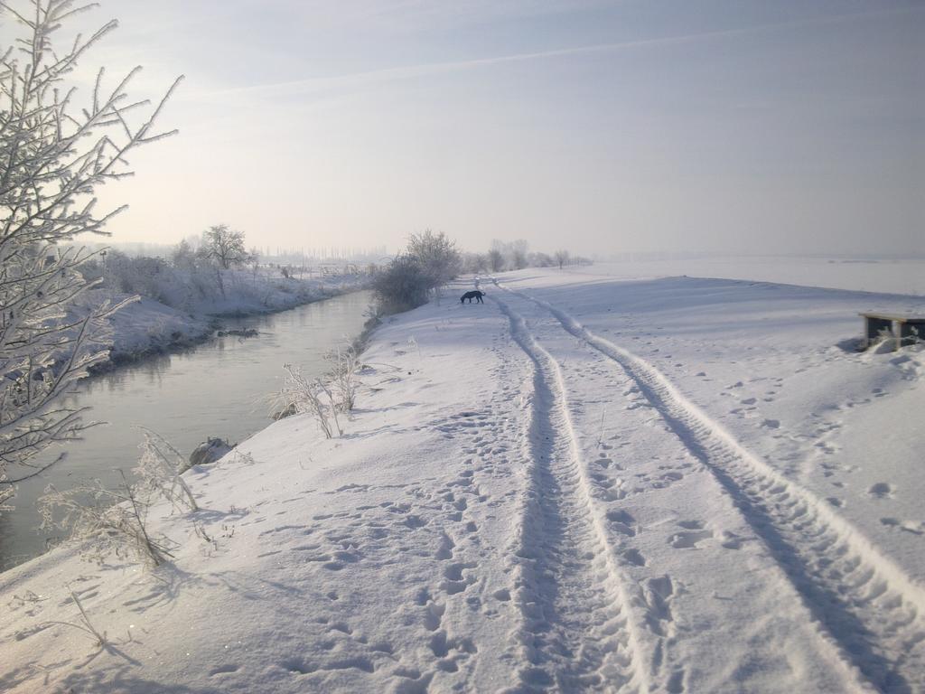 Fewo-Thueringer-Becken Vehra Екстер'єр фото